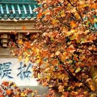 蛋白粉哪个品牌最好？从蛋白含量、快慢配方与成品检测比较