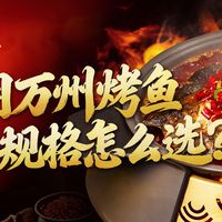 万州烤鱼店从试营业到连锁，调料怎么选供货规格？