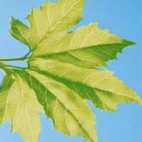 敏感牙换季牙膏自用 温和清洁美白去渍不伤釉 4款全能护牙亲测