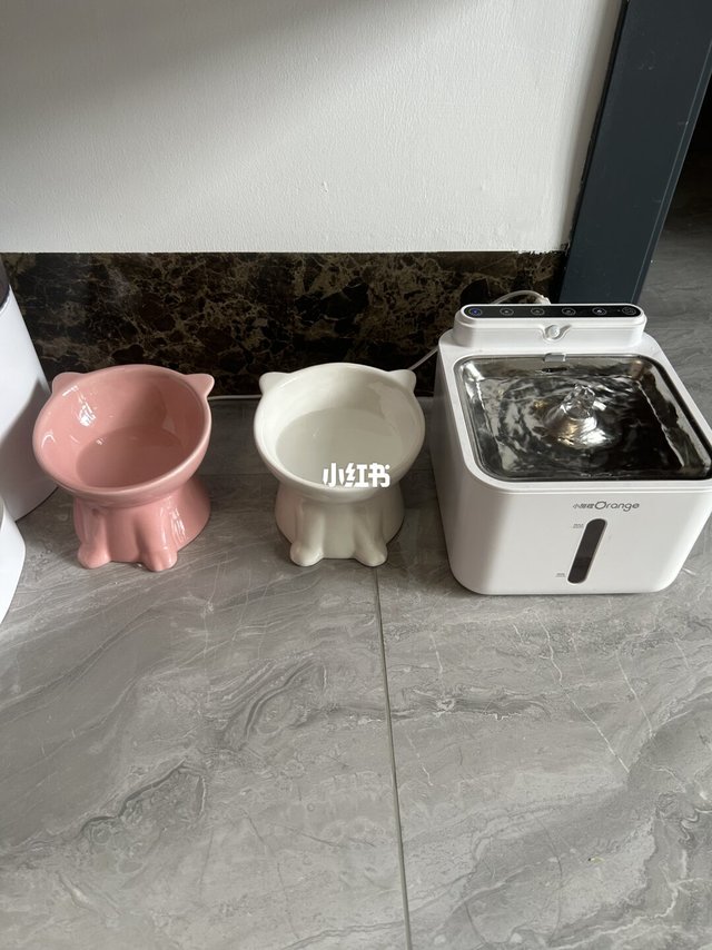 如何让猫咪多喝水！！！