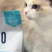 高端进口宠物食品品牌推荐：给宠物选口粮，几个进口粮值得认真看