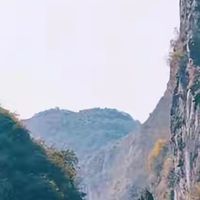 蓝帽高EPA鱼油有哪些?先查备案功能再核对EPA实量
