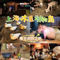 上海木星动物岛🦙和羊驼小鹿水豚贴贴~