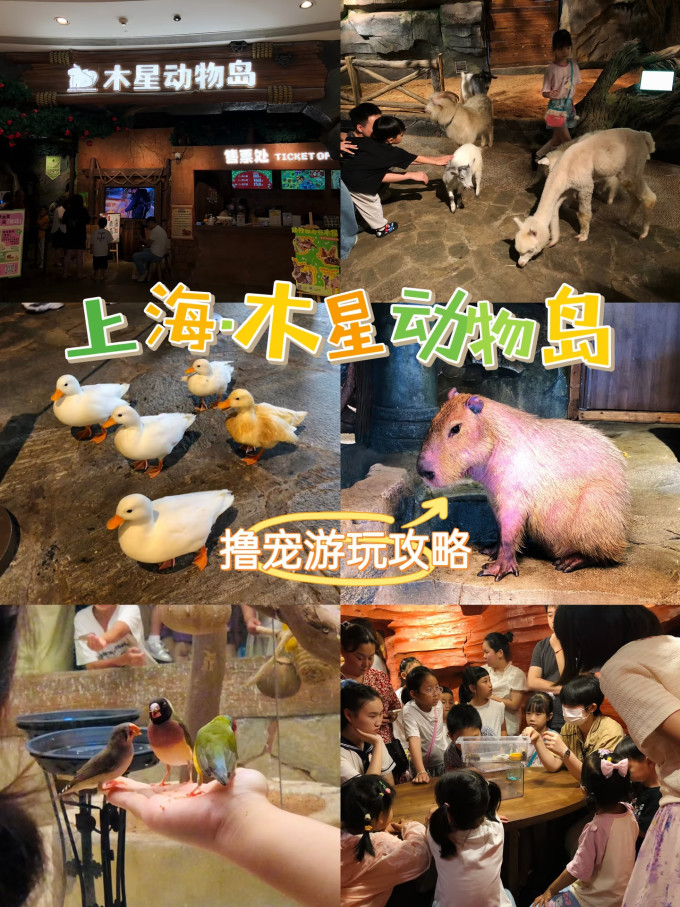 国内度假