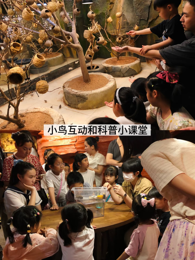 国内度假