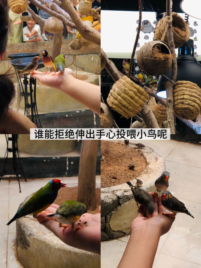 国内度假