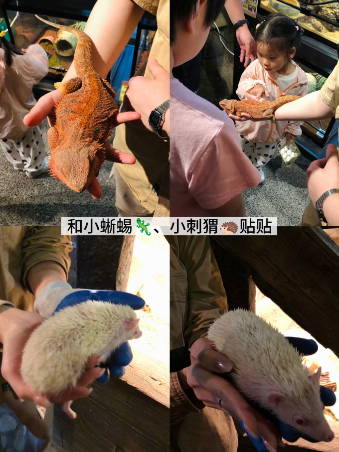 国内度假
