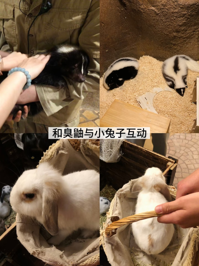 国内度假