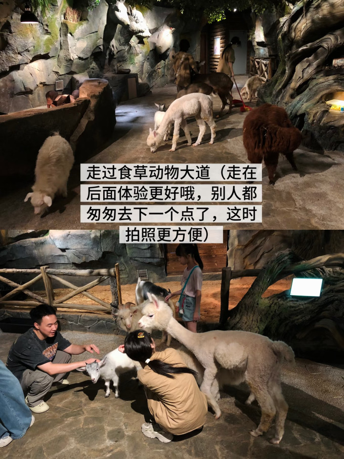 国内度假