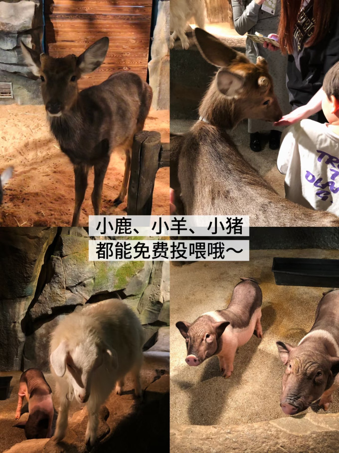 国内度假