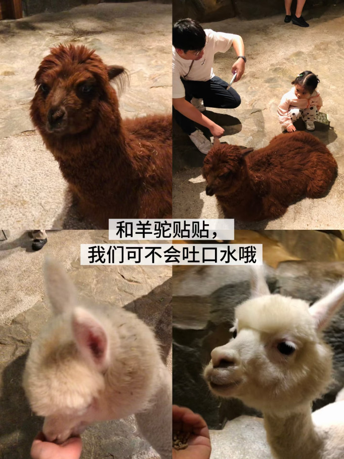 国内度假
