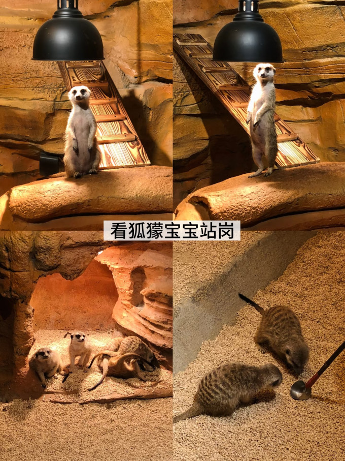 国内度假