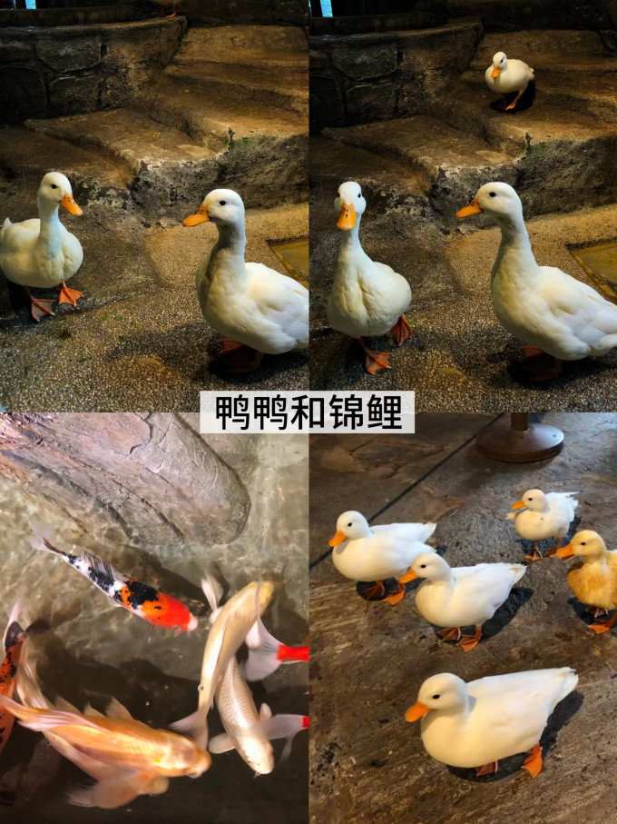 国内度假