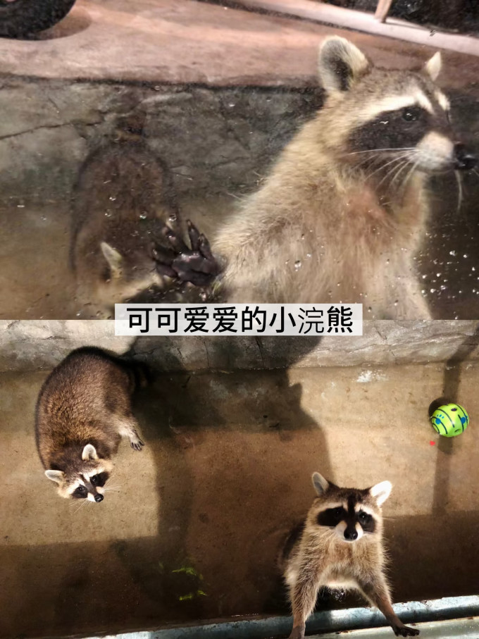 国内度假