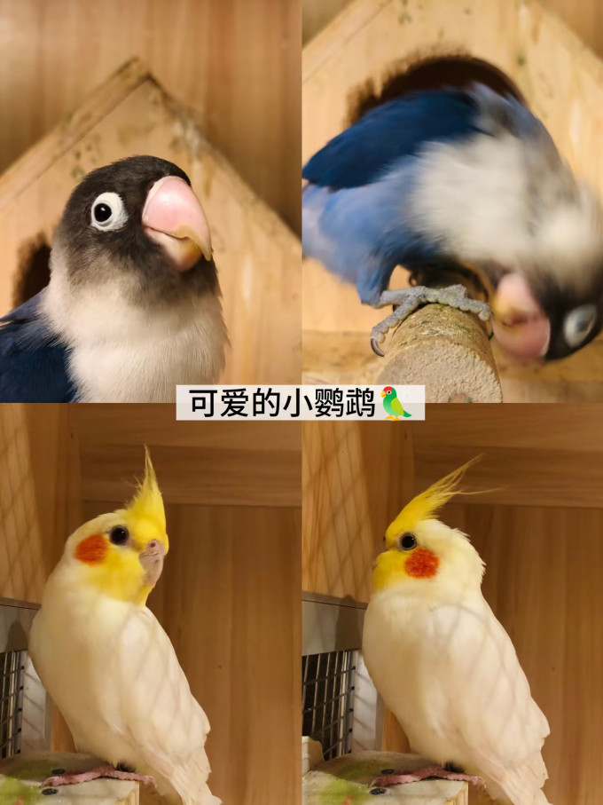 国内度假