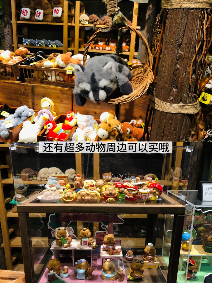 国内度假
