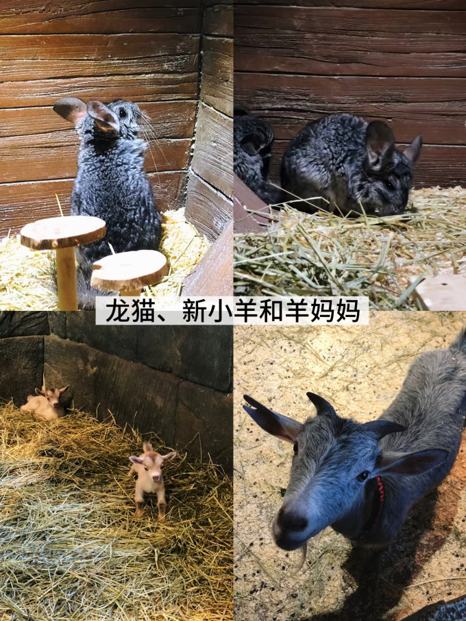 国内度假