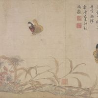 收藏雅集网鉴定怎么样，严格吗？