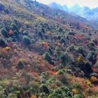 2026胶原蛋白肽应该怎么选？十款产品从配方路线到使用场景解析