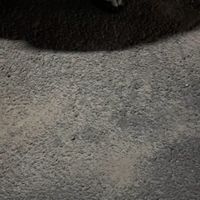 小猫ddd