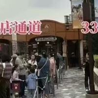 专业的上海迪士尼33vip购买平台哪家好