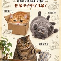 猫咪迷惑行为图鉴｜养猫人才看得懂的9大名场面