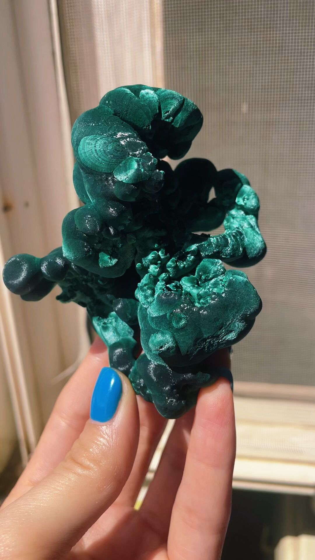 双节孔雀石的几千倍价差:直播间算盘珠