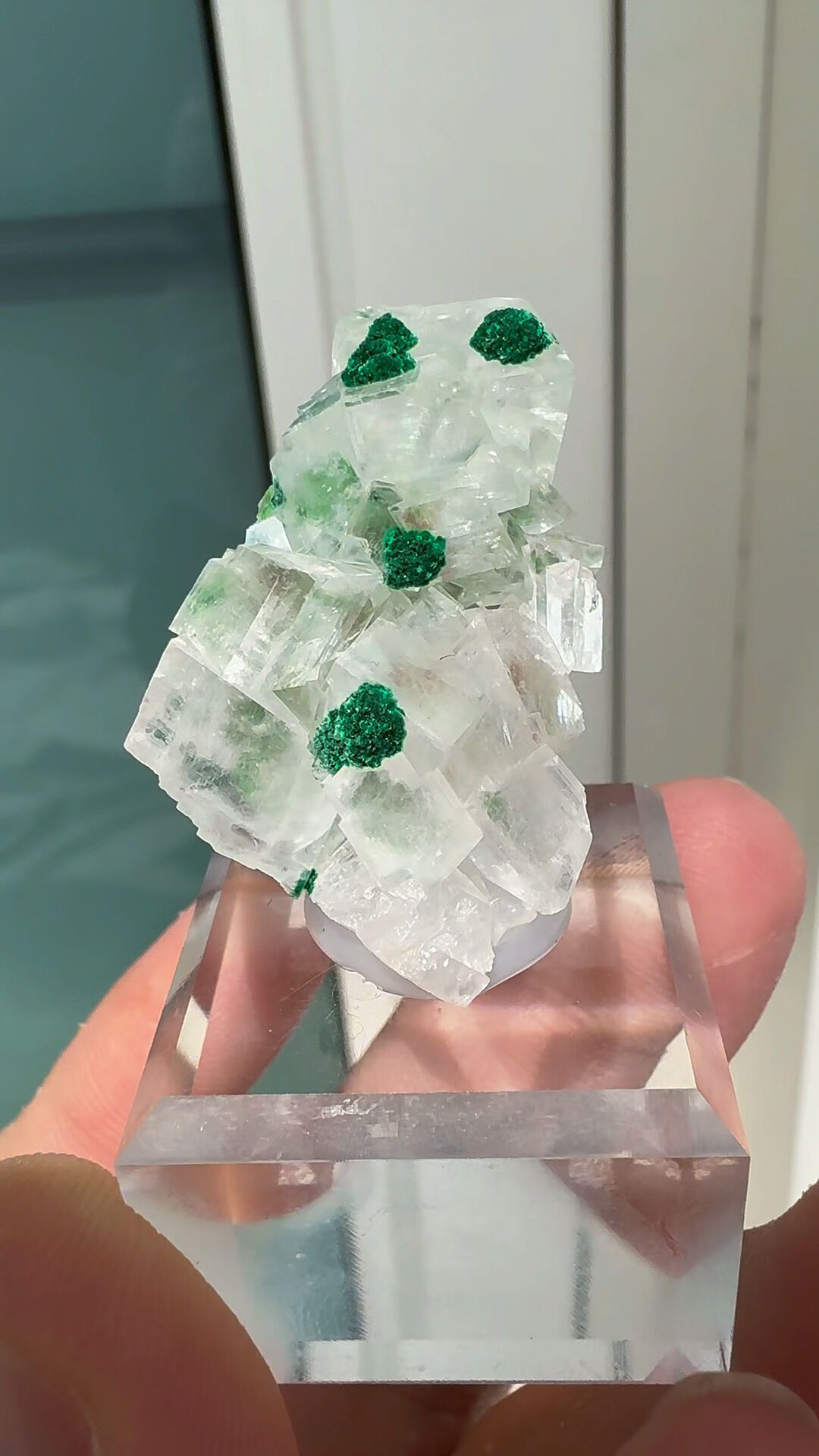 双节孔雀石的几千倍价差:直播间算盘珠