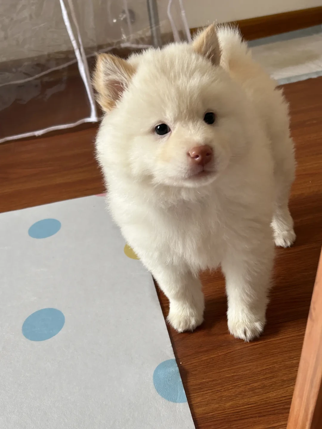 返工头一个月，