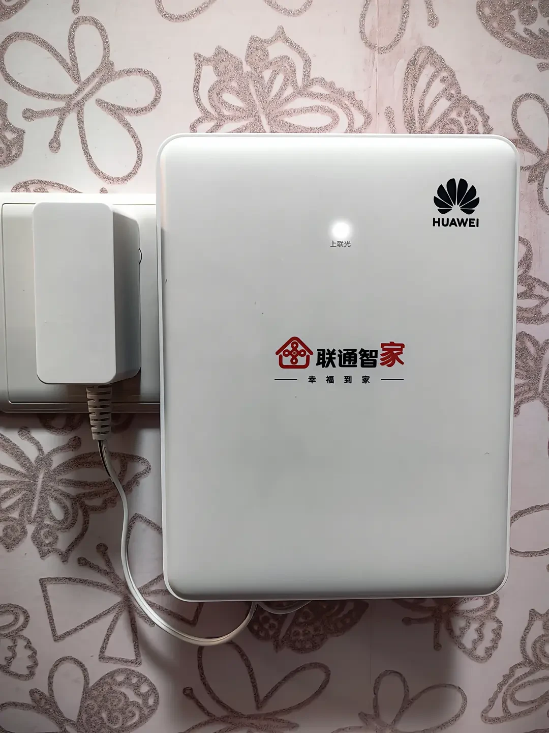 两三千的Mesh装完,人一走动还是卡?翻完29万播放