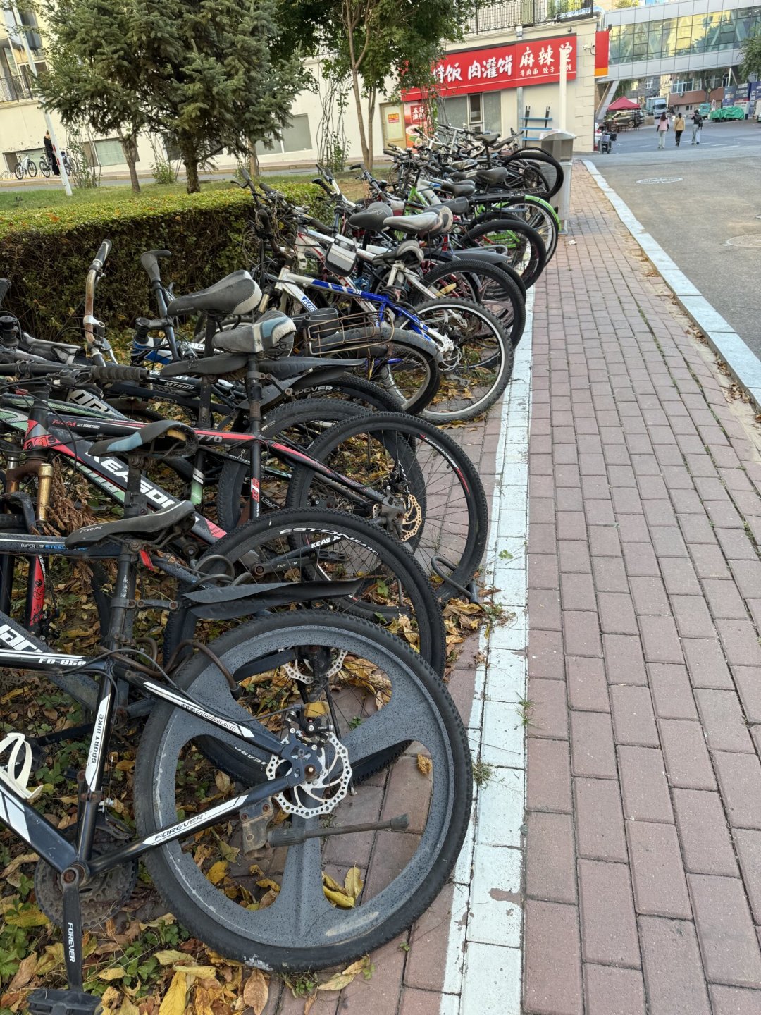 厦大宿舍楼下那两辆