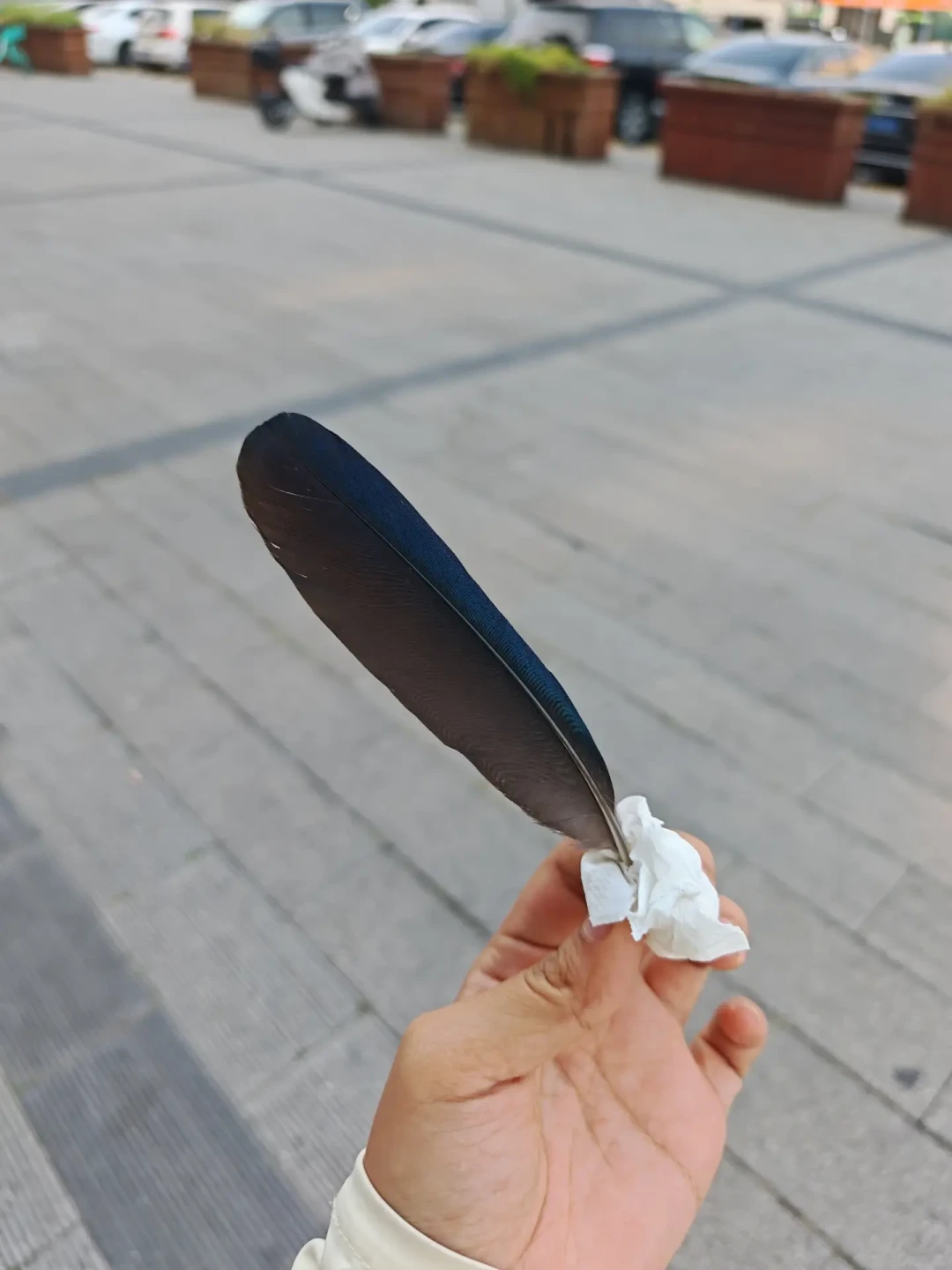 换毛季满地都是
