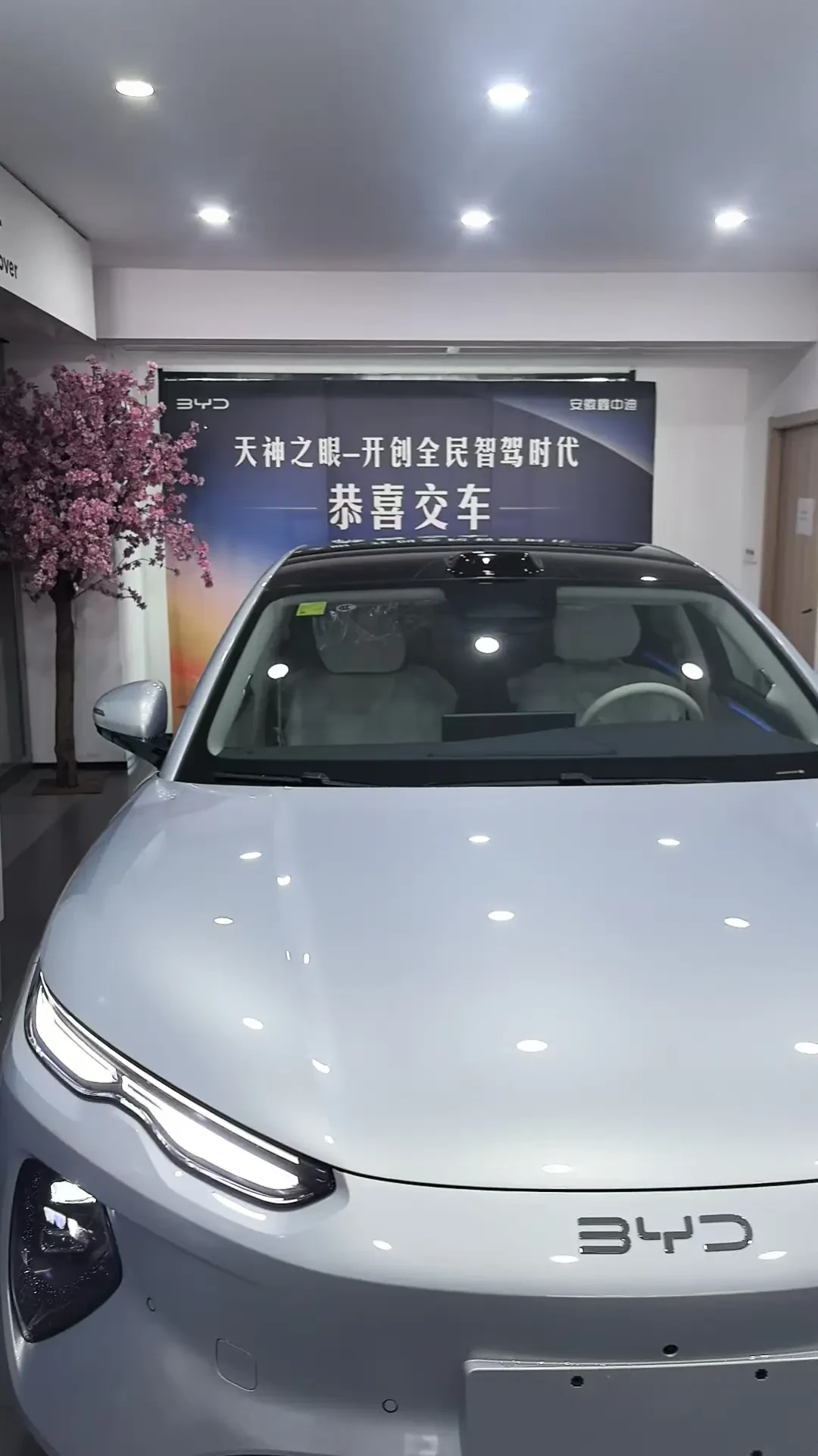 海豹08EV提车满月口碑复盘:905km高速实测88折、后视镜修三次没修好、4S只肯让2000现金——把版本、等车、砍价三本账算清,20-26万准备下订的看完再出手