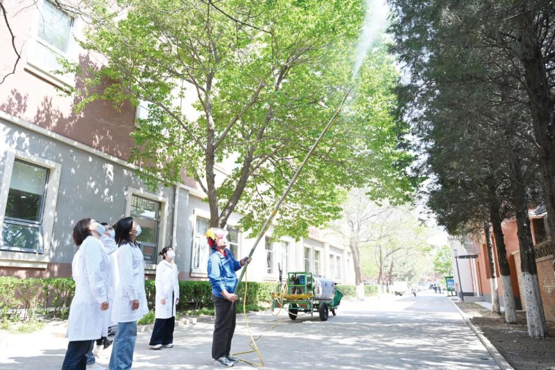 北京花粉浓度已到5级,官方指南今天点名“雷暴=极高风险”,评论区却在吵“雨后更难受”:翻完呼和浩特急诊记录、主任医师的2-3微米解释和十几篇纱窗改造实测——花粉季家里窗怎么开、纱窗换不换、净化器买不买,一次说清