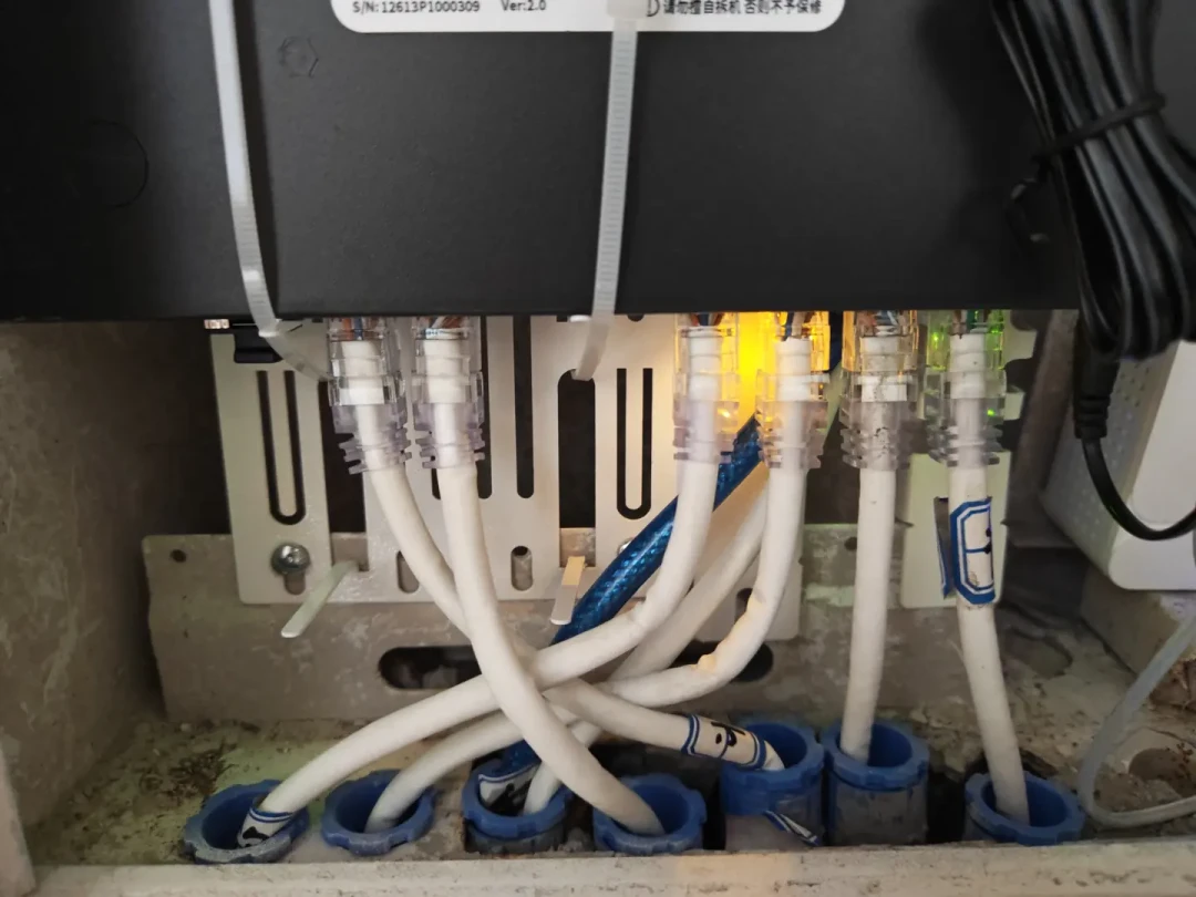 80块的2.5G交换机把内网卷成白菜价?翻完3.1万播放