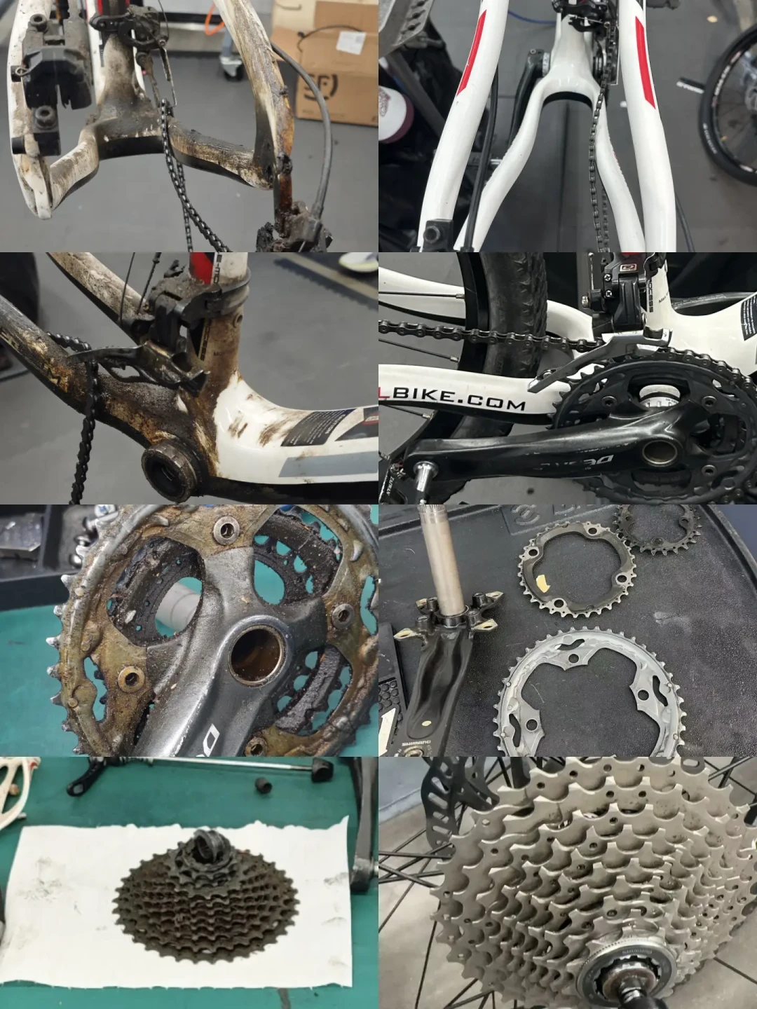 官方门店把前叉拆成50小时和200小时两种保法:国庆出车前,先把美利达的三笔保养价算清