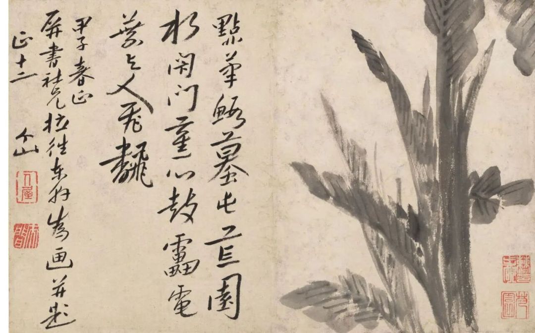八大山人特展进入倒计时:《河上花图》8月就撤展了,去南昌前先把这份更新版账本看完
