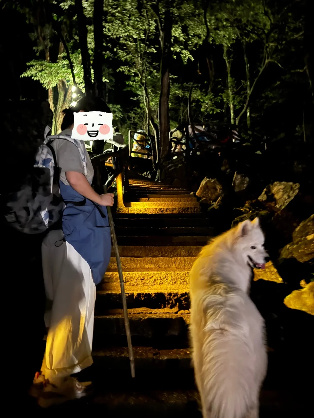 国庆夜爬前，先把「山顶罚站」这三小时算进装备账：两个泰山爆款评论区筛出来的反直觉清单
