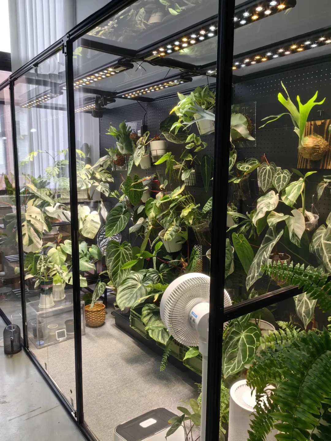 赶在供暖前把柜子装完:9月这波「手搓热植柜」帖越来越急,暖棚500 vs 铝柜3500,我把谁该上柜、走哪条路线、哪几个后悔点理清了