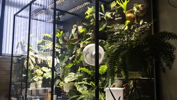 赶在供暖前把柜子装完：9月这波「手搓热植柜」帖越来越急，暖棚500 vs 铝柜3500，我把谁该上柜、走哪条路线、哪几个后悔点理清了