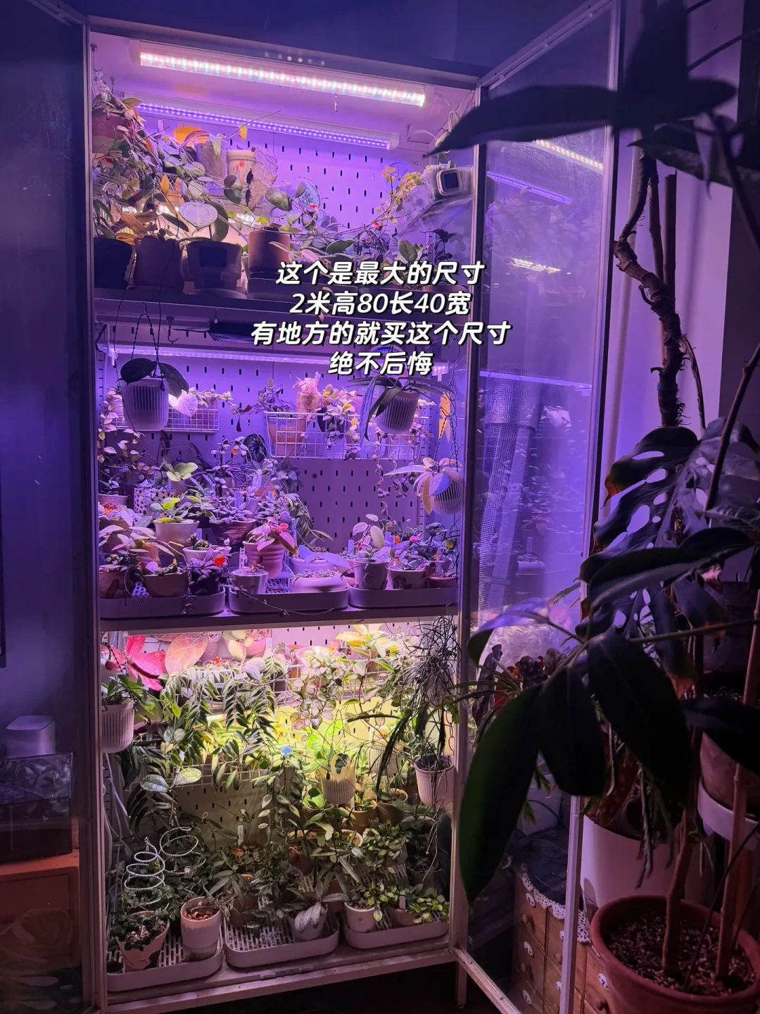 赶在供暖前把柜子装完:9月这波「手搓热植柜」帖越来越急,暖棚500 vs 铝柜3500,我把谁该上柜、走哪条路线、哪几个后悔点理清了
