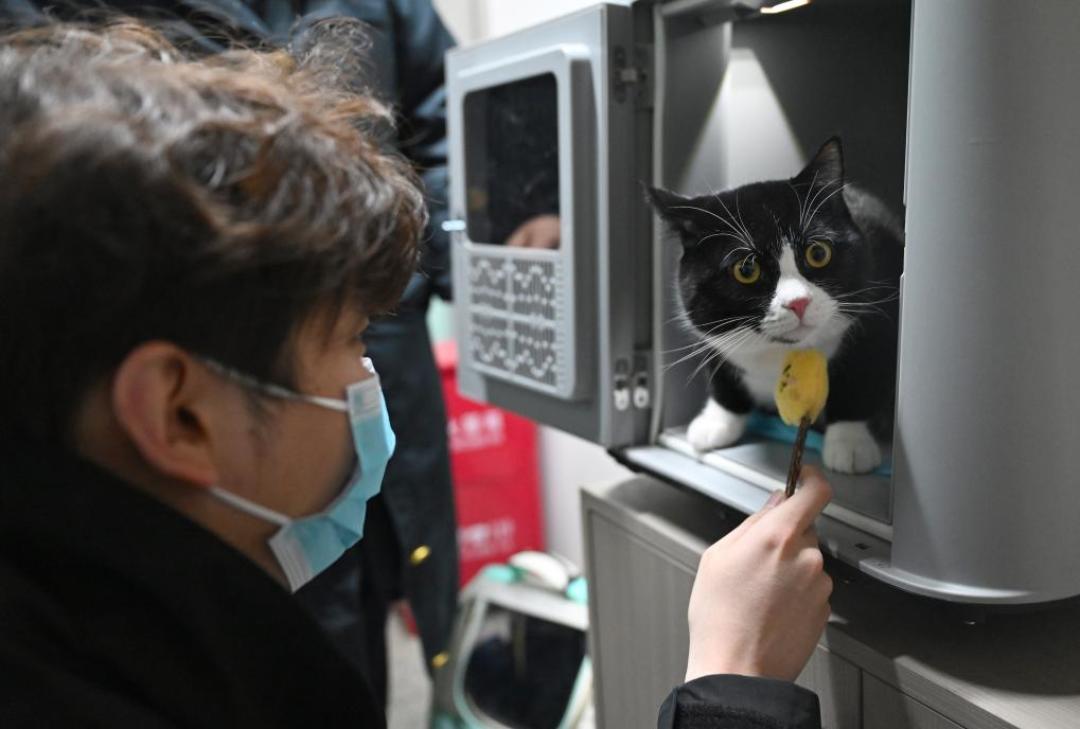 爱宠行扩到163站364趟:双节毛孩子返乡票开抢,先量三条线、分清两种「宠」、对一本日历、接受一份排除清单