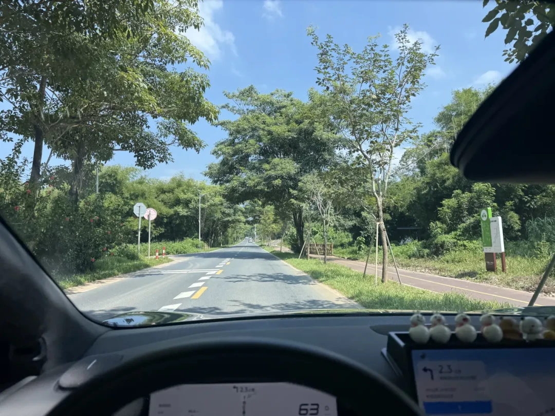 电车今秋第一次进山:满电下坡,动能回收恰恰最容易