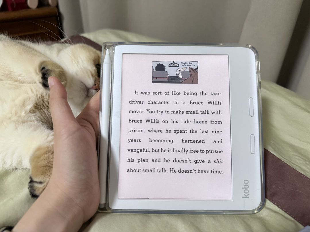 Kindle涨价后,Kobo玩家等来的不是降价:我把旗舰店、官翻、海鲜市场三档价全扒了一遍