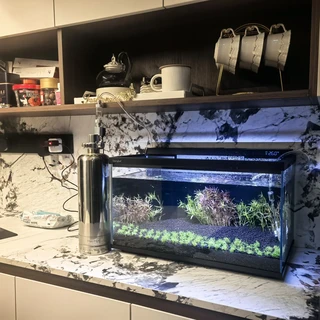 做投影的当贝，已经卖到第二代智能鱼缸了：我把夸它和骂它的帖子翻完，两拨人用的根本不是同一把尺子