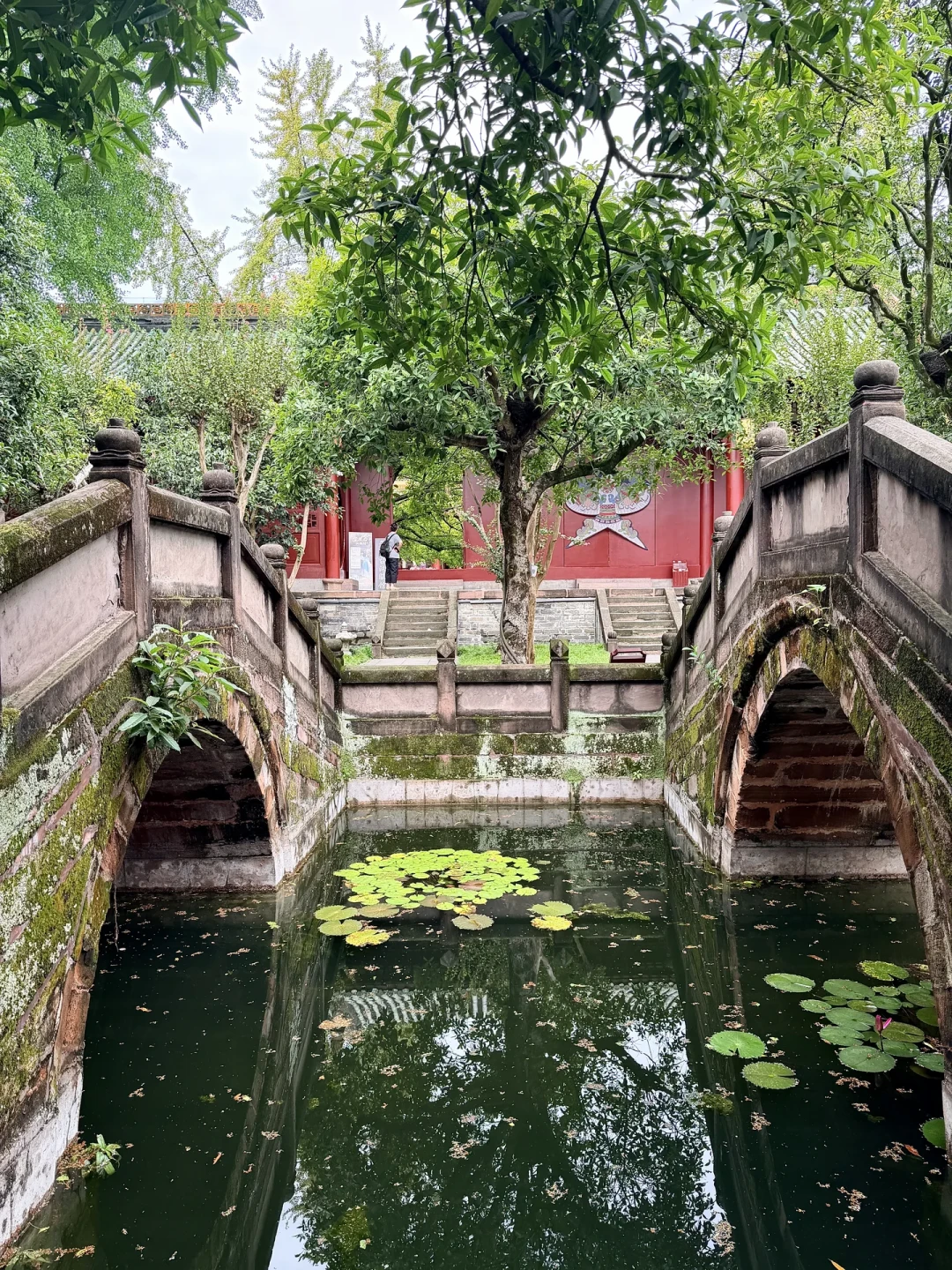 林黛玉