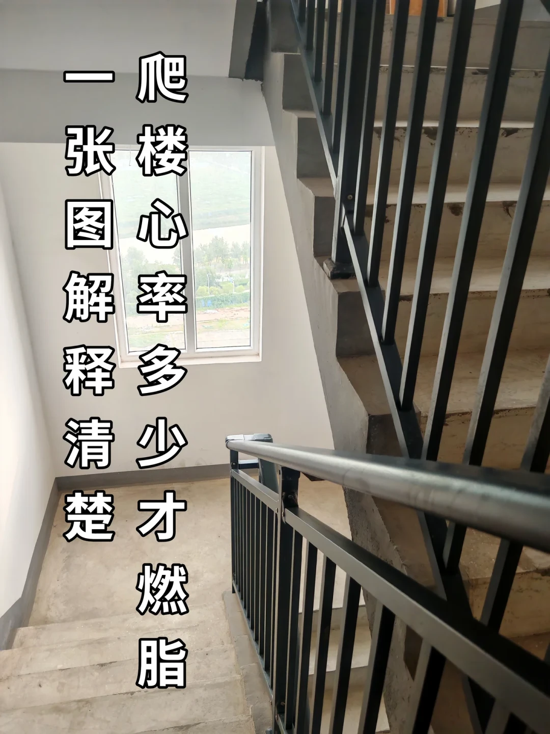 “空腹爬楼208层”的打卡刷屏了:荟萃分析说每天爬六段楼梯获益就到位——入秋首练前,先把这三个数对齐