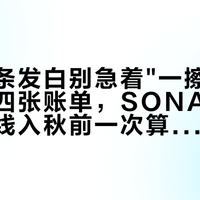 黑色饰条发白别急着"一擦黑"：三种白四张账单，SONAX塑料件这条线入秋前一次算清