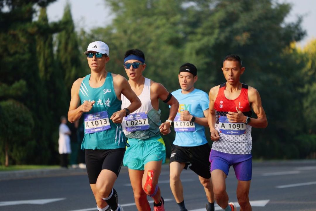 两周6个新手在知乎问同一件事:首马