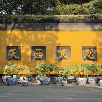 灵隐十八籽停售一年零三个月，网上还在卖"第六代官方正品"：中秋国庆去杭州前，把这笔账算清